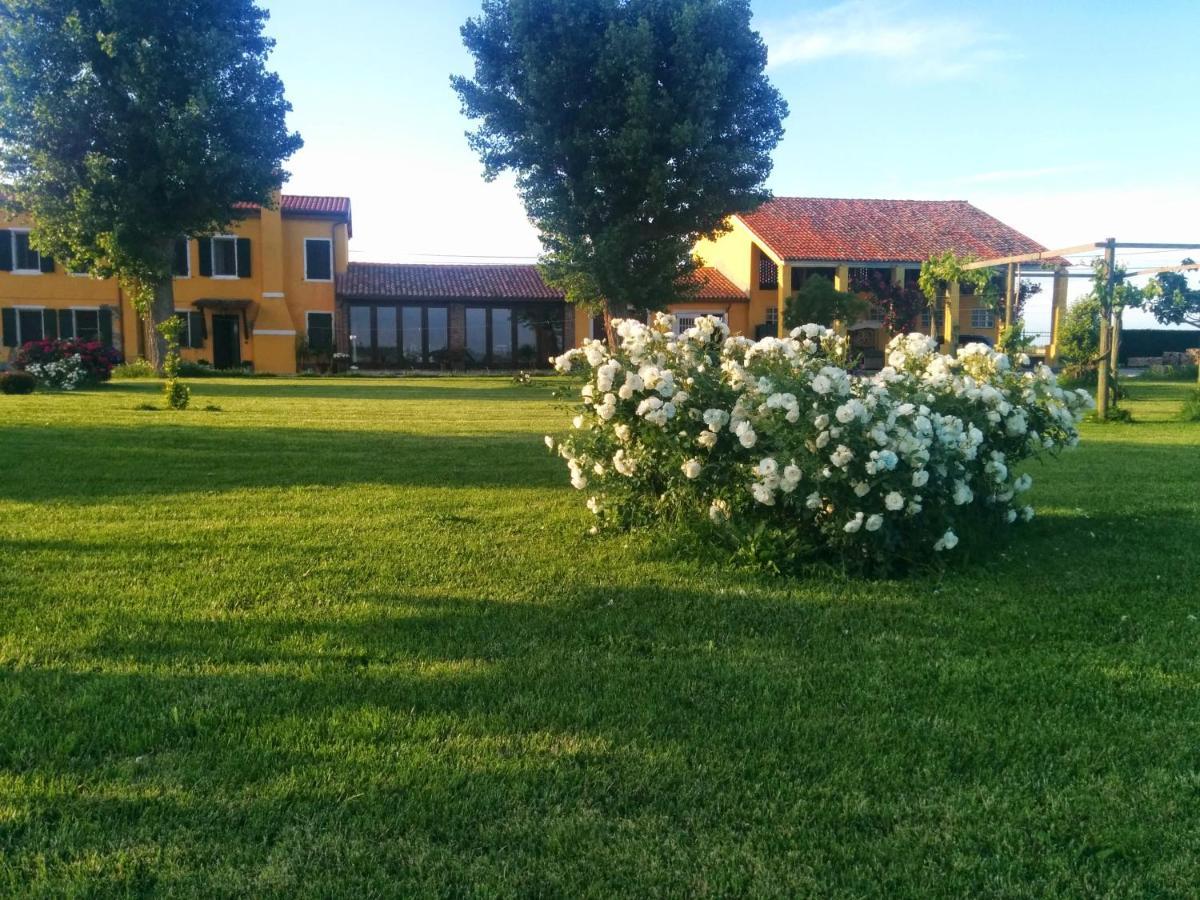 Antica Vigna Bed and Breakfast Κιότζα Εξωτερικό φωτογραφία
