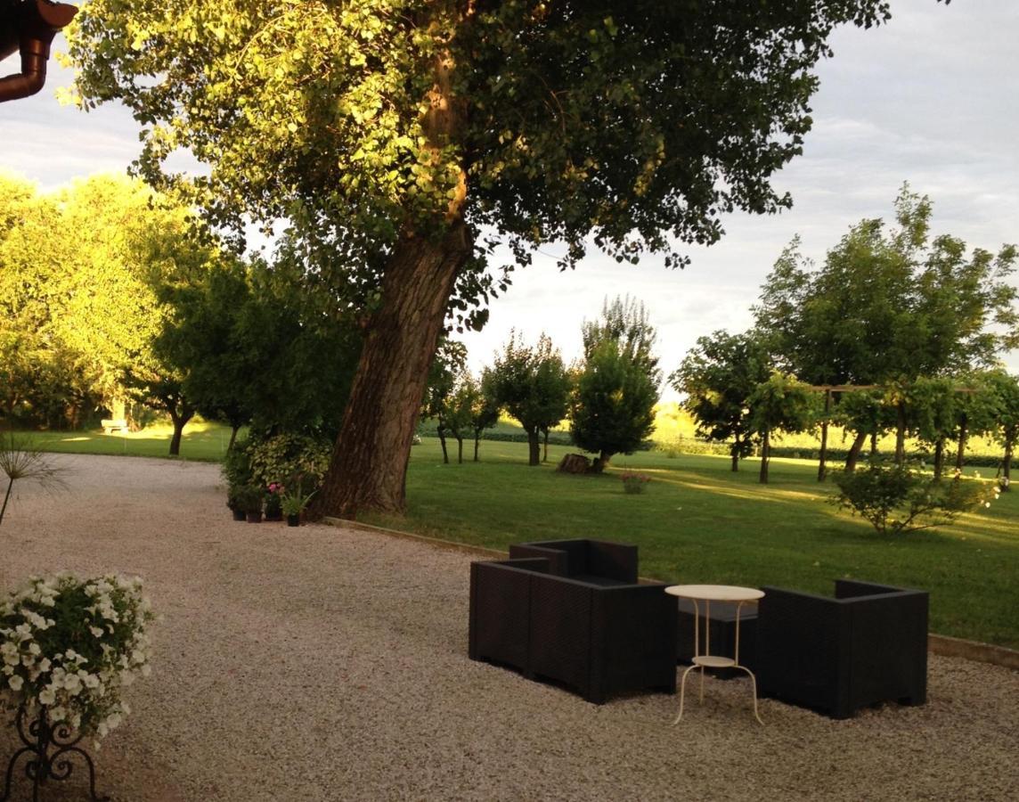 Antica Vigna Bed and Breakfast Κιότζα Εξωτερικό φωτογραφία