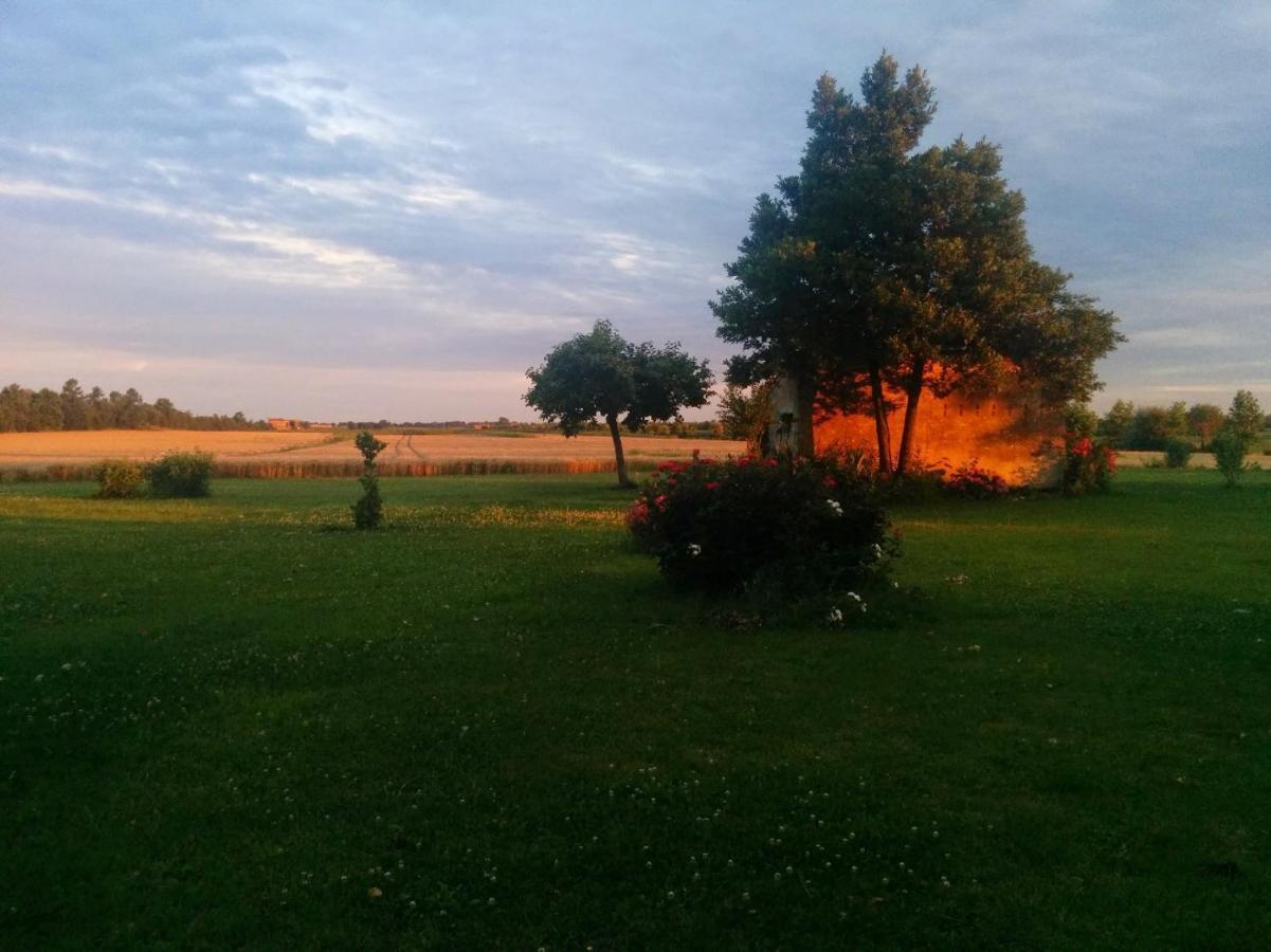 Antica Vigna Bed and Breakfast Κιότζα Εξωτερικό φωτογραφία